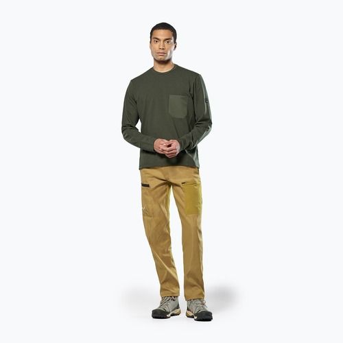 Felpa da uomo Salewa Fanes Dry Pullover verde oliva scuro