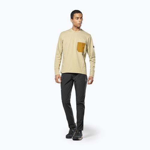 Felpa da uomo Salewa Fanes Dry Pullover quicksand