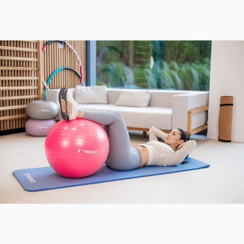 TREXO Gymball TXO-B4Z007-PK 55 cm rosa