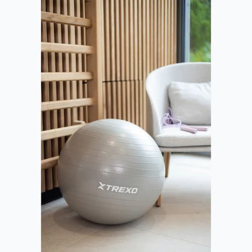 TREXO Gymball TXO-B4Z007-GY 55 cm grigio