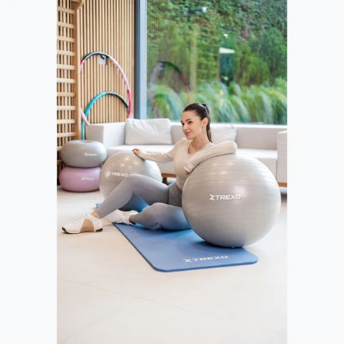 TREXO Gymball TXO-B4Z007-GY 55 cm grigio