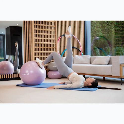 Palla da ginnastica XTREXO TXO-B4Z008-VT 65 cm viola