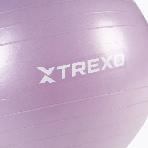 Palla da ginnastica TREXO TXO-B4Z008-VT 65 cm viola