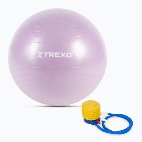 Palla da ginnastica TREXO TXO-B4Z008-VT 65 cm viola