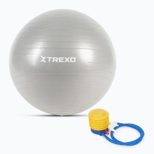 XTREXO Gymball TXO-B4Z008-GY 65 cm grigio