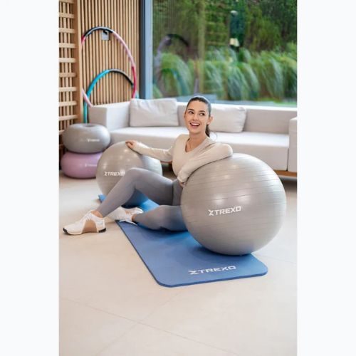 TREXO Gymball TXO-B4Z008-GY 65 cm grigio