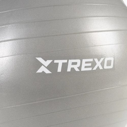 TREXO Gymball TXO-B4Z008-GY 65 cm grigio