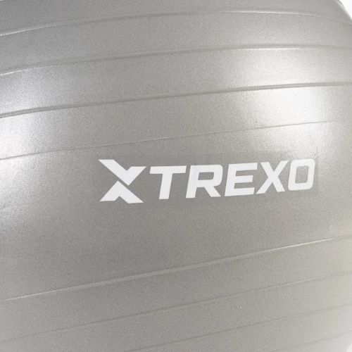 XTREXO Gymball TXO-B4Z008-GY 65 cm grigio