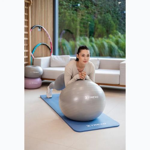 TREXO Gymball TXO-B4Z008-GY 65 cm grigio