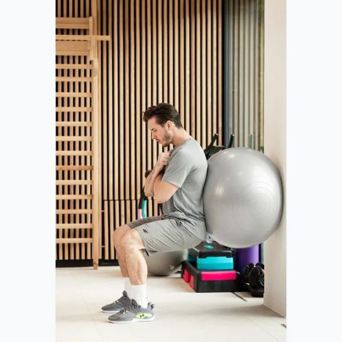 TREXO Gymball TXO-B4Z009-GY 75 cm grigio