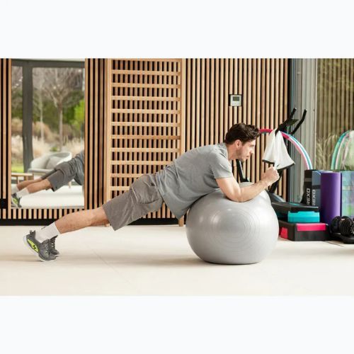 TREXO Gymball TXO-B4Z009-GY 75 cm grigio