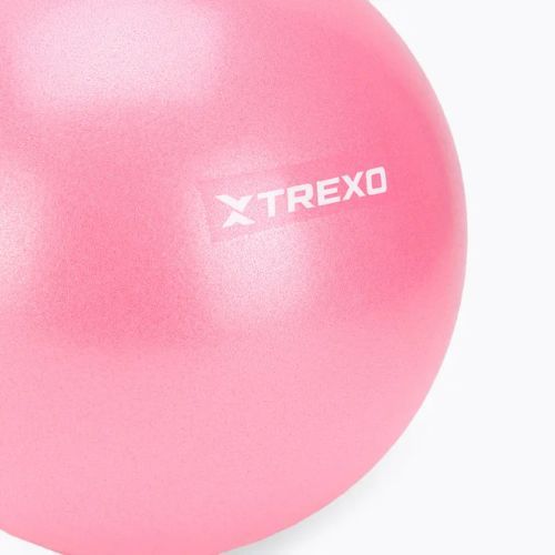 Mini palla da ginnastica TREXO TXO-B4Z010-PK 20 cm rosa
