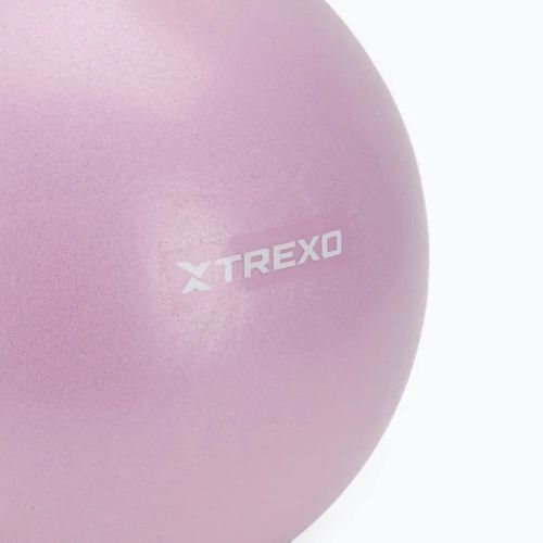 TREXO mini palla da ginnastica TXO-B4Z011-VT 25 cm viola