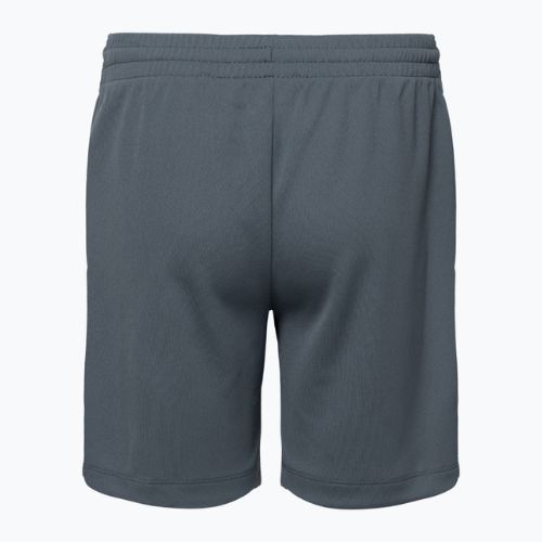 Pantaloncini da bambino Nike Dri-Fit Multi smoke grigio/bianco
