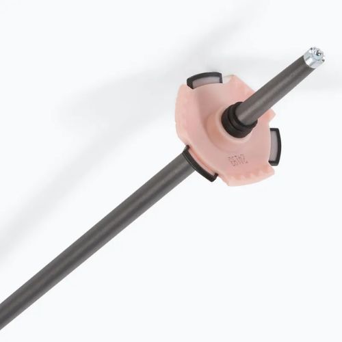 Bastoncini da sci Salomon Polar Pro oro rosa