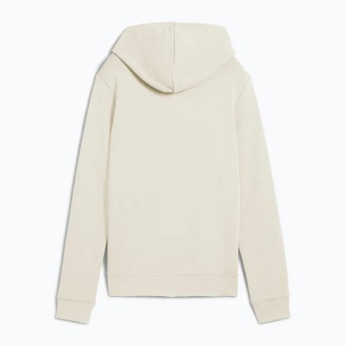 Felpa da donna PUMA ESS No. 1 Logo Hoodie TR alpine snow