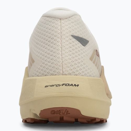 Scarpe da corsa da uomo Salomon Drx Defy GRVL vanilla ice/green haze/white pepper