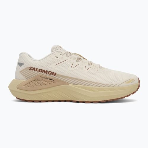 Scarpe da corsa da uomo Salomon Drx Defy GRVL vanilla ice/green haze/white pepper