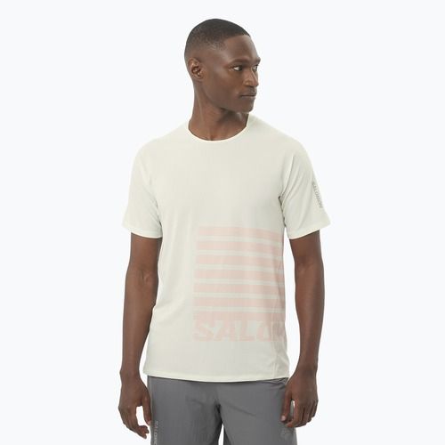 Maglietta da corsa Salomon Sense Aero Tee GFX icicle/neon flame da uomo