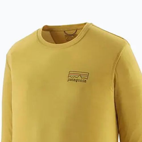 Uomo Patagonia Cap Cool Merino Blend Longsleeve Graphic fitz roy strata/bundle green