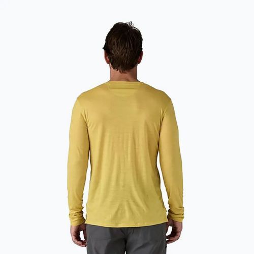 Uomo Patagonia Cap Cool Merino Blend Longsleeve Graphic fitz roy strata/bundle green