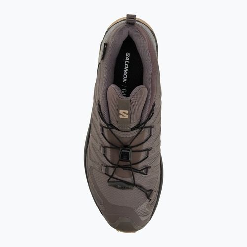 Salomon XA Pro 3D V9 GTX scarpe da corsa da donna prugna gattino/nero/gul