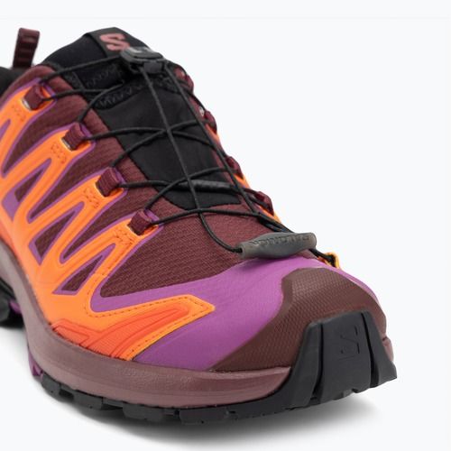 Salomon XA Pro 3D V9 GTX scarpe da corsa da donna tawnyp/redora