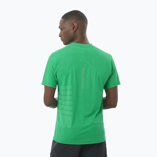 Maglietta da corsa Salomon Sense Aero Tee GFX Uomo parakeet / spearmintme