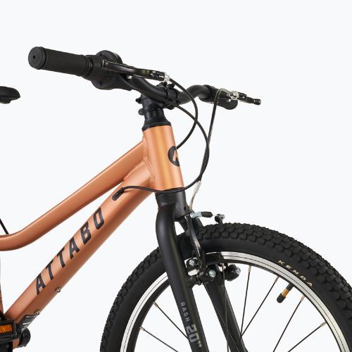 Bicicletta per bambini ATTABO RASH 20" rame