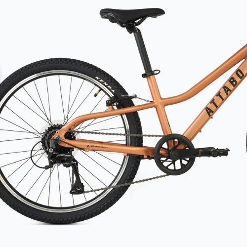 Bicicletta per bambini ATTABO RASH 24" rame