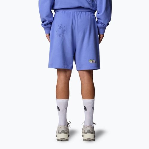 The North Face Mountain Cleanup Pantaloncini blu virtuali rilassati
