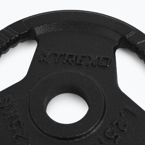 Peso in ghisa XTREXO TRX-ICP001 1,25 kg cromo