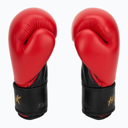 HOOK FIGHTING Guanti da boxe rossi pronti per l'allenamento