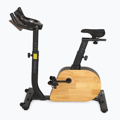 E-bike XTREXO EB400-desk black