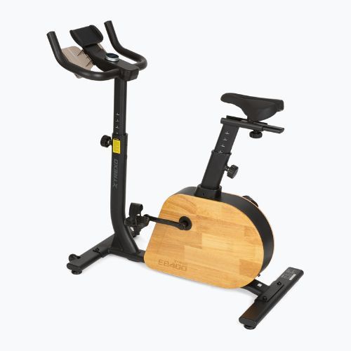 E-bike XTREXO EB400 black