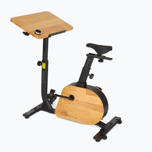 E-bike XTREXO EB400-desk black