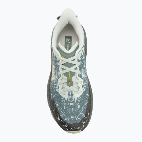 Scarpe da corsa da uomo HOKA Speedgoat 6 GTX sea flass/fern