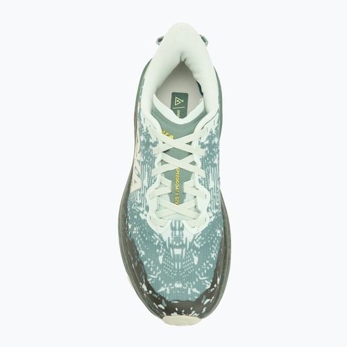 Scarpe da corsa da uomo HOKA Speedgoat 6 GTX sa glass/fern