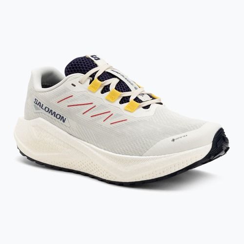 Scarpe da corsa da uomo Salomon Aero Blaze 3 Gravel GTX vanilla ice/astral aura/lemon