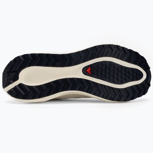 Scarpe da corsa da uomo Salomon Aero Blaze 3 Gravel GTX vanilla ice/astral aura/lemon