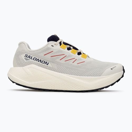 Scarpe da corsa da donna Salomon Aero Blaze 3 Gravel GTX vanilla ice/astral aura/lemon