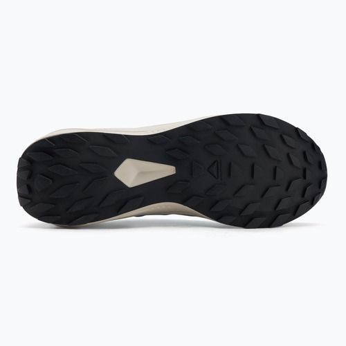 Scarpe da corsa da uomo Salomon Alphaglide GTX blue night/lunar rock/french blue