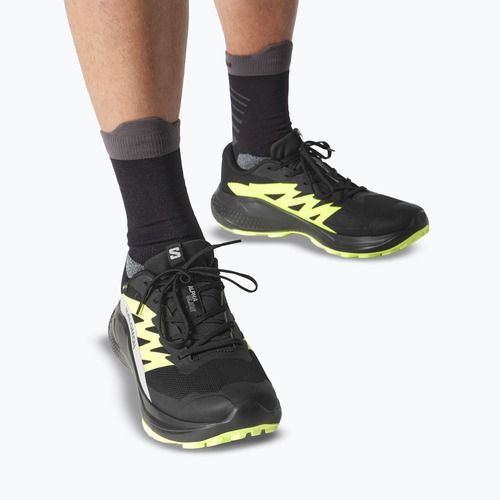 Scarpe da corsa da uomo Salomon Alphaglide GTX nero/alloy/verde acuto