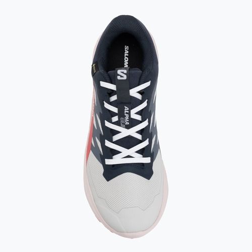 Scarpe da corsa da donna Salomon Alphaglide GTX lunar rock/blue night/rouge red