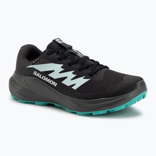 Scarpe da corsa da donna Salomon Alphaglide GTX hantom/urban chic/waterfall