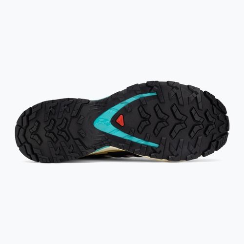 Scarpe da corsa da donna Salomon XA PRO 3D V9 GTX giallo trasparente/nero/cascata