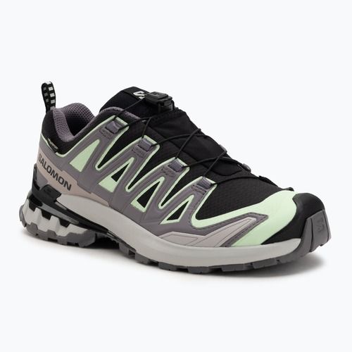 Scarpe da corsa da donna Salomon XA PRO 3D V9 GTX nero/verde patina/viola grigio