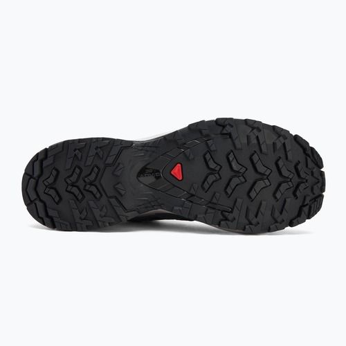 Scarpe da corsa da donna Salomon XA Pro 3D V9 nero/gabbiano/excalibur