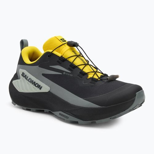 Scarpe da corsa da uomo Salomon Genesis GTX nero/sedona salvia/incaberry