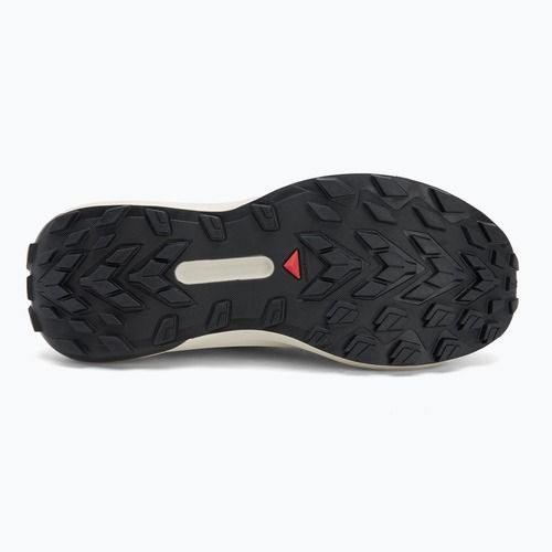 Scarpe da corsa da uomo Salomon Genesis GTX nero/roccia lunare/blu francese
